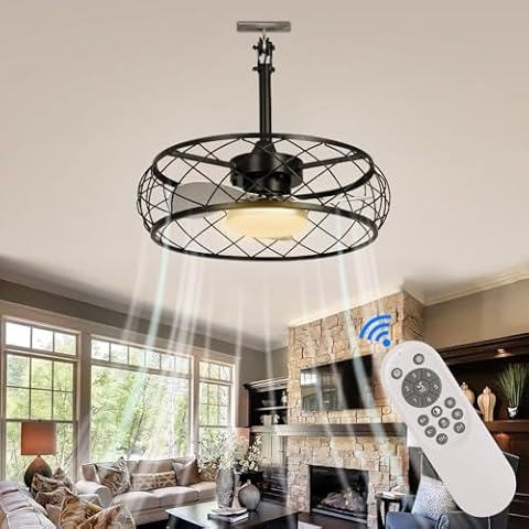 Kariosid 20''Caged Ceiling Fans with Lights and Remote,Dimmable Farmhouse Ceiling Fan Light with Hanging Hook,Outdoor Ceiling Light Fan with Flush Mount,Black Caged Industrial for Patio,Bedroom Cover
