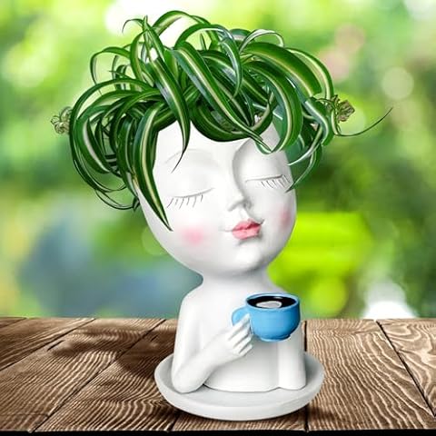Toparad Face Flower Pots Head Planter Cover