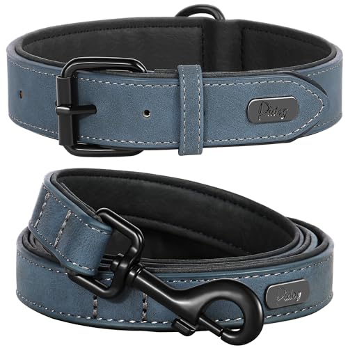 Image of Didog PU Leather Dog Collar and Leash Set, Soft Padded, Blue, Neck 18-22 inch