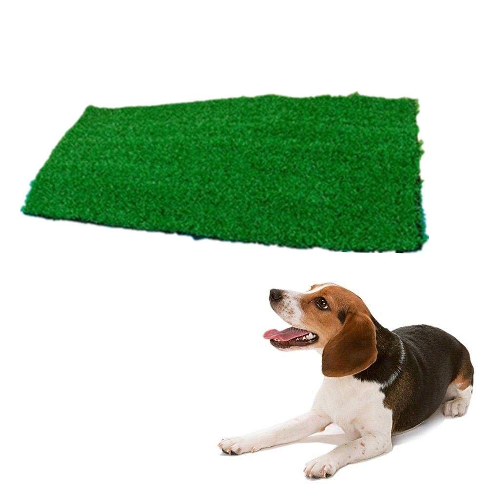 Taiyo Pluss Discovery Dog Green mat/Dog Resting mat/Washable/Suitable for Puppies and Medium Dogs/Color: Green/Size: L- 24.8 Inch, H- 24 Inch (B08DFTX832) Amazon Price History, Amazon Price Tracker