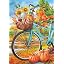 34 | Autumn Bicycle