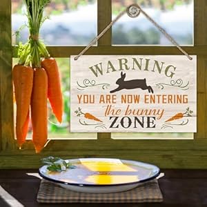 Warningyouarenowenteringthebunnyzonefrontdoorsignrabbitcarrotwooddoorhangeroutdooroutsideporchdecorfunnyeasterfarmhousewoodenwreathindoorwallhangingdecoration Urban Country Home Decor Warning you are now entering the bunny zone front door sign rabbit carrot wood door hanger outdoor outside porch decor funny easter farmhouse wooden wreath indoor wall hanging decoration urban country home decor
