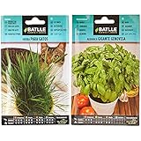 Hierba para GATOS - Graminae & Albahaca GIGANTE Genovesa, Color Verde