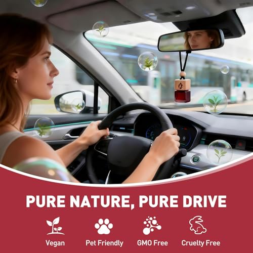 Image of Car Air Freshener Hanging 2 Pack, Rosehip Wine Scent Car Perfume, Long Lasting Automotive Essential Oil Diffuser, Cute Car Accessories for Women