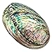 Produktbild Große Abalone-Meeresmuschel, dekorative verwischte Abalone-Muschel mit mehreren Löchern, für Party-, Hochzeit- Heimdekorationen, Accessoires, 90 x 120 x 39 mm Loch:Ca. 3 - 9 mm.