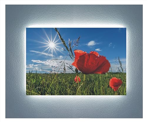 Tableau méthacrylate coquelicots avec LED pour décoration murale moderne - 3