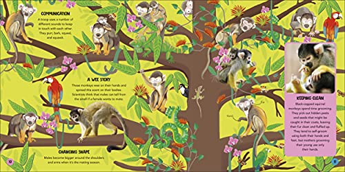 Animal Teams: How Amazing Animals Work Together in the Wild - Image 5