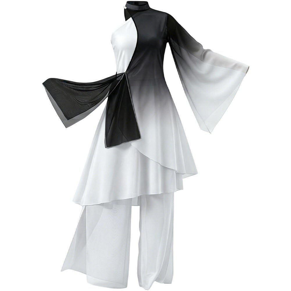 hzzsbu Chinese Style Folk Dance Costume Set Classical Dancer Performance Costumes Elegant Practice Clothes Chinese Ink Dance Dress