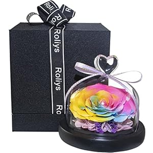 Preserved Fresh Flower in a Glass, Handmade Real Roses, with a Beautiful Gift Box, for Her,Wedding,Valentine’s Day, Christmas,Anniversary,Birthday, Mother’s Day, (Rainbow)