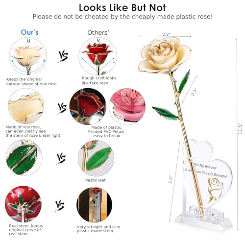 Image of Sinvitron Gold Dipped Infinity Rose Forever Flower Decor, Resin Preserved Real Rose Birthday Gift for Women, Anniversary Present for Mom (White)