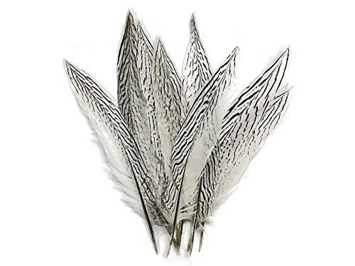 Moonlight Feather | 10 Pieces - 10-12" Natural Silver Tail Barred Black And White Pheasant Feathers Craft Wedding Costume Feathers #TOP5