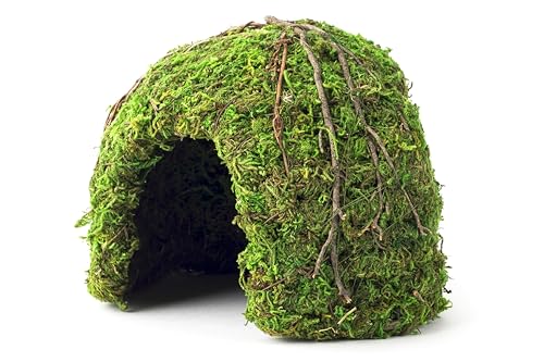 Galapagos (05366 Mossy Dome Hide, 6 in, Gal&aacute;pagos Green - image 7