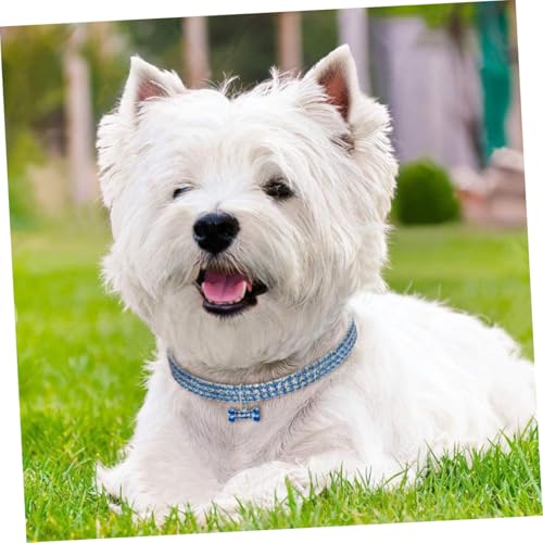 ARTSEWPLY Collar para Perro con Cristales Elásticos y Colgante Azul Collar Decorativo para Mascotas Mediano Elegante y Cómodo para Diario
