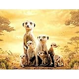 Bereichern Sie Ihr Leben: Wenn Sie fertig sind, erhalten Sie ein Erfolgserlebnis, steigern Sie Selbstvertrauen und Ausdauer.