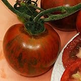 Plant World Seeds - Tomato Black Zebra Seeds
