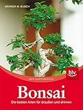  Bonsai: Die besten Arten für draußen und drinnen
