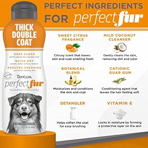 TropiClean-Perfect-Fur-Dog-Shampoo-for-Shedding-Control-Deep-Conditioning-for-Breeds-with-Thick-Double-Coats-16-oz - Cucciolini Doodles   TropiClean-Perfect-Fur-Dog-Shampoo-for-Shedding-Control-Deep-Conditioning-for-Breeds-with-Thick-Double-Coats-16-oz