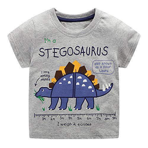 Image of Toddler Boys' Short Sleeve Tees Cotton Casual Graphic Crewneck Summer Top Clothes T-Shirts