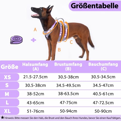 Huntboo Sicherheitsgeschirr Hund Ausbruchsicher, Panikgeschirr für Hunde, Reflektierendes Geschirr Hund mit Griff, Verstellbare Hundegeschirr für kleine, mittelgroße und große Hunde (Lavendel Lila,M)