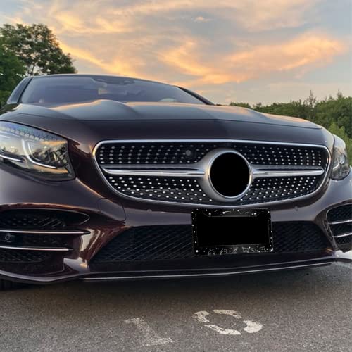 Dolphin License Plate Frame Animal License Plate Frames Star Design For Car Decorative Parts Rustproof License Plate Cover For Standard Us Canada License Plate Holder Unisex 12X6 Inch #TOP5