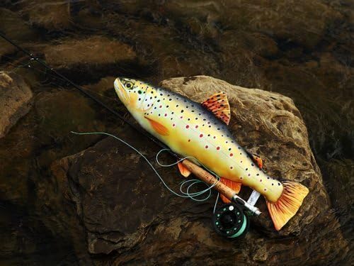 Gaby Novelty Fish Pillow/Cushion5 Species Carp, Brown Trout, Perch, Pike and Atlantic SalmonFishing Present Xmas Fishing Present Toy (Brown Trout)