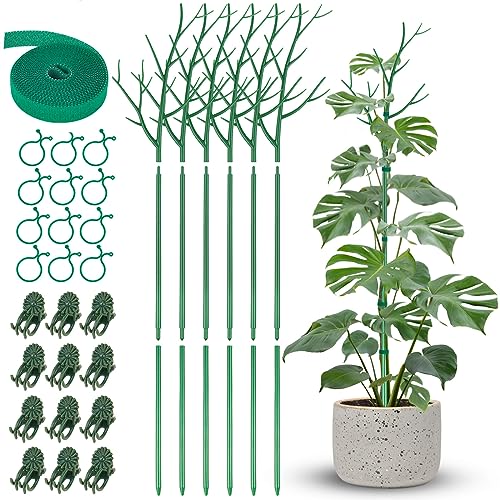 NiHome Comprehensive Plant Support Stake Set of 6 - Durable, UV Resistant 39.5/101cm Stakes with Extension Poles, Orchid Clips & Plant Ties for Climbing Indoor & Outdoor Plants, Monstera
