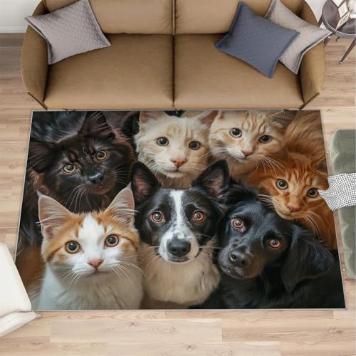 Cat Living Room Rug 4x6 Area Rug, Dog Rugs for Bedroom, Cute Pet Carpet, Soft & Non Slip & Washable Rugs