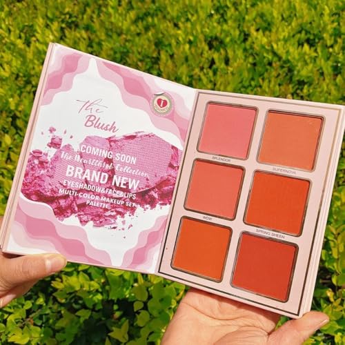 Image of 5in1 Book-Style Makeup Palette Set All In One MakeupBook