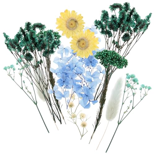 Flores prensadas naturales OSALADI para manualidades miniatura 1