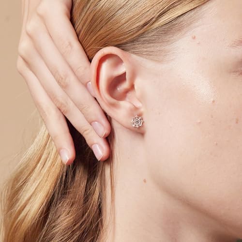 Boma Jewelry Sterling Silver Spider Web Stud Earrings2