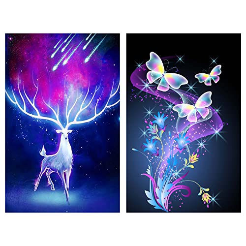 Diamond Painting Kits,5D Diamond Painting Kits for Adults,Butterfly Diamond Painting,Paint with Diamonds Diamond Art 12x16