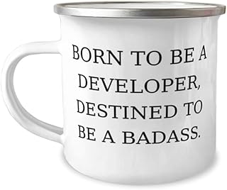 Special Developer Gifts, BORN TO BE A DEVELOPER, DESTINED TO BE A, Brilliant 12oz Camping Mug For Coworkers, From Team Leader
