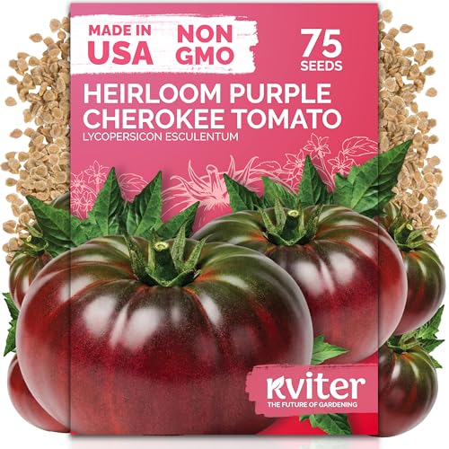 KVITER 75 Cherokee Purple Tomato Seeds (Lycopersicon Esculentum) Cherokee Purple Heirloom Seed Packets Sweet Tomatos Open-Pollinated Non GMO Seed - Vegetable Seeds for Indoor/Outdoor Garden