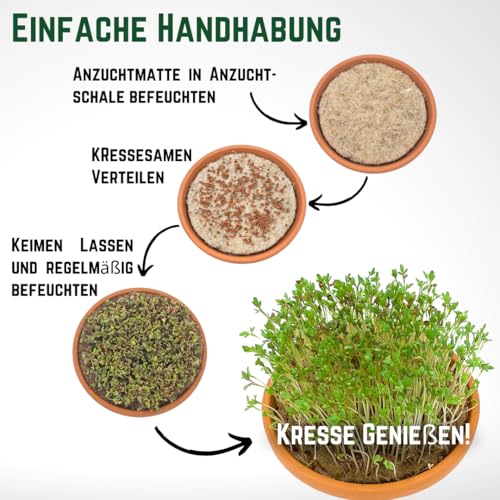 NEU! XXL Green MaGeo Kresse Anzuchtset - 5 Kresse Anzuchtschalen mit 10 Anzuchtmatten Jutte und 3 Maxi Packungen Kressesamen, ideal für die Kresse Anzucht und als Microgreens Anzuchtset