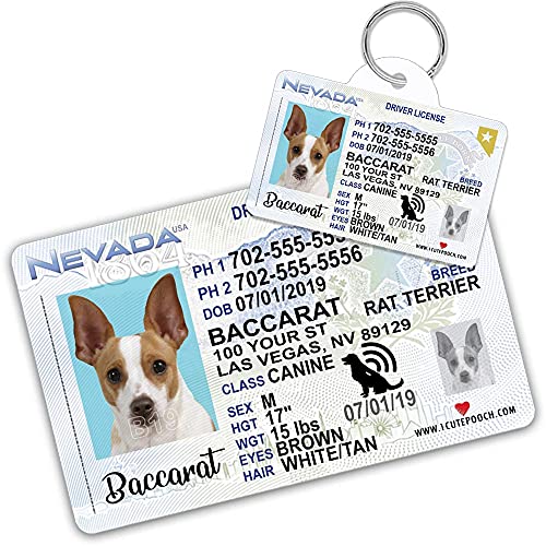 1 Cute Pooch Nevada Driver License Custom Dog Tag for Pets and Wallet Card - Personalized Pet ID Tags - Dog Tags for Dogs - Dog ID Tag - Personalized Dog ID Tags - Cat ID Tags - Pet ID Tags for Cats