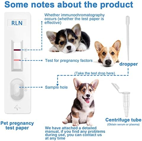 Can You Get Dog Pregnancy Test