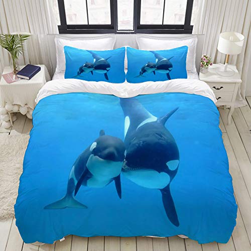 YOUMEISU Parure de lit avec Housse de Couette en Microfibre,Orques épaulards,Sets de Housse de Couette 140x200cm+2 taie d'oreiller 50x75cm Cover