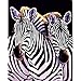 Produktbild QAZEDC DIY Digitale Malerei Zebra Umarmung Malen nach Zahlen DIY Tier Wandkunst Bild Acryl Leinwand Malerei für Hochzeitsdekoration-40x50cm