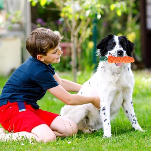 UZSUZZ 5 Stück Hundespielzeug Karotte Kauspielzeug Welpen Geflochten Seil Spielzeug Hund für Interaktives Interaktives Hundespielzeug Für Mittelgroße Hunde und Welpen
