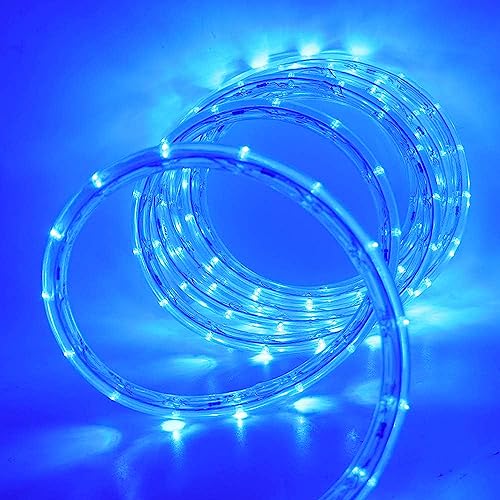 Wisada Lichtschlauch Außen,6m 36LEDs/m LED Schlauch 220V Indoor Outdoor Wasserdicht Leuchtstoffröhre, Blau LED Lichter für Terrasse Wohnzimmer Weihnachten Partydeko