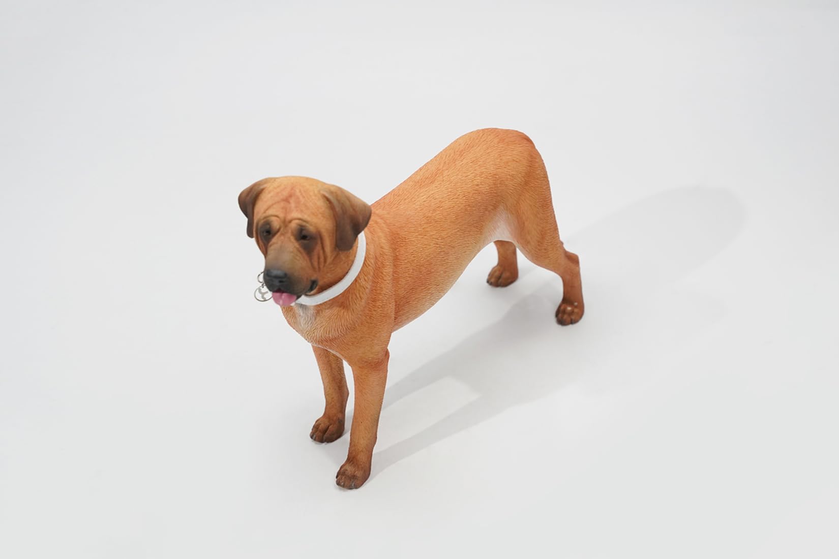 Amazon | 1/6 サイズ 土佐闘犬 土佐犬 フィギュア 闘犬 17.5CM級 樹脂