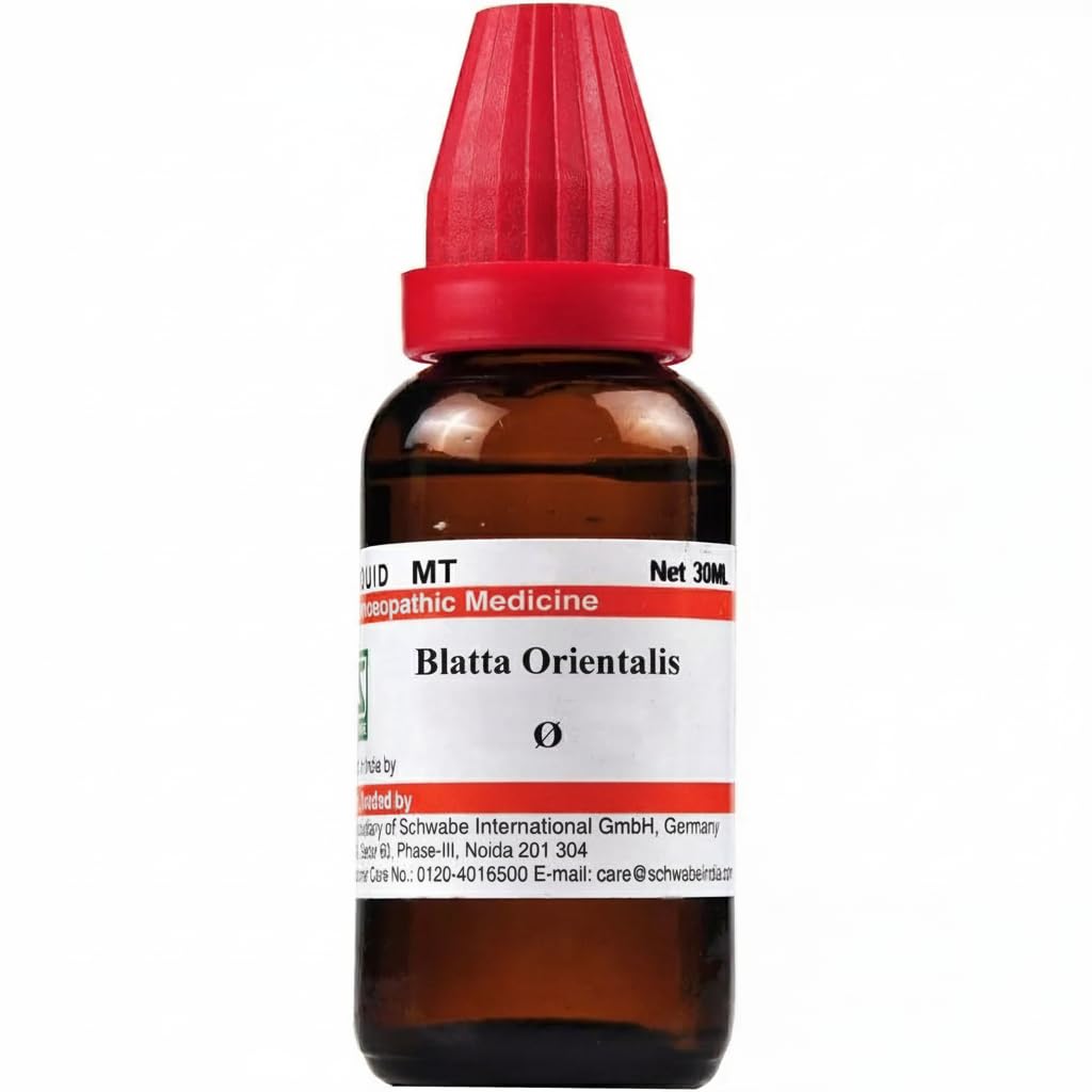 Blatta Orientalis Mother Tincture Q (30ml) - by Exportmart