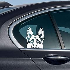 Black Tan German Shepherd Dog