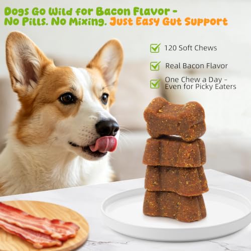 Dog Allergy Itch Chews, Helps Relieve Itchy Skin & Seasonal Allergy Discomfort, Supports Skin Barrier Strength, Healthy Coat Shine & Immune Balance, with Colostrum, Bacon Flavor 120ct — view 2