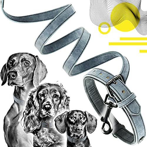 ne&no® Halsband und Leine Set (veganes Leder) Hundeleine mit Halsband I robuste Hundeleine mit Karabiner I Hundehalsband verstellbar I 1.2m Dog Leash I biegsam und extra weich (XS, blau/anthrazit)