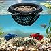 Aquarium Floating Betta Fish Skins, Betta or Shrimp Feeder, Cave and Hammock, Small Fish Feeding Rings, Aquarium Hiding Feeding Decorative Accessories (Black)