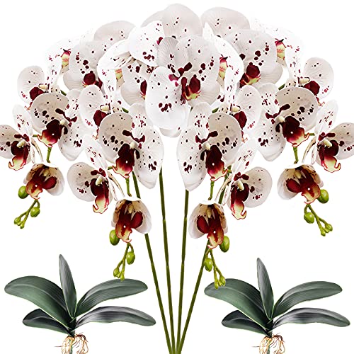 FagusHome 4 Pz Fiori Orchidea Phalaenopsis Fiori
