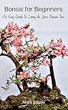  Bonsai for Beginners: An Easy Guide to Caring for Your Bonsai Tree