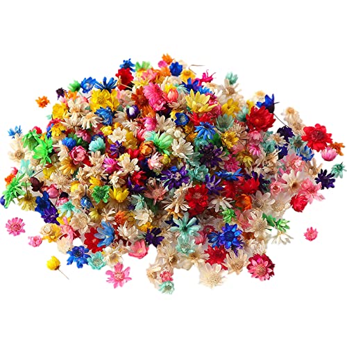 Stickers decorativos con flores secas naturales para resina UV miniatura 1
