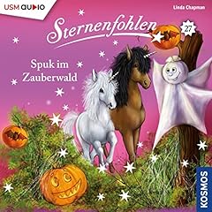 Spuk im Zauberwald cover art